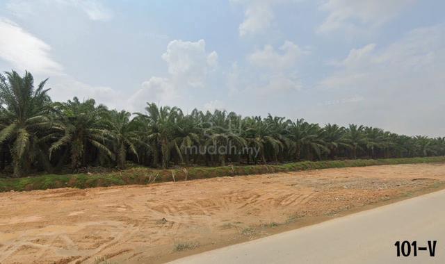 [Mainroad] Telok panglima Garang near Pulau Carey 1.6acre Converted 1