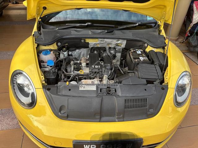 2014 Volkswagen BEETLE 1.2 TSI (A) - 5