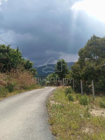 Dusun penoh rumah kebun view cantik lekas tol paroi 1