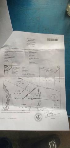 terletak ditepi jln dan ada pokok getah 1
