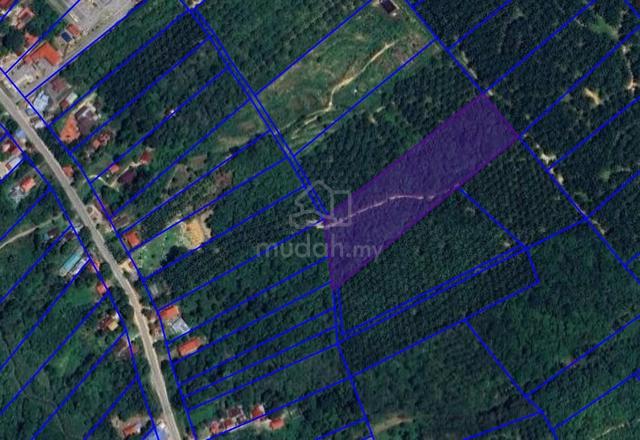 Tanah Pertanian Untuk Dijual Di Kampung Temin, Sungai Siput. 1