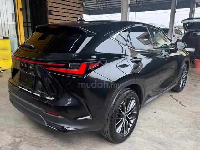 2023 Lexus NX250 2.5 VERSION L SUNROOF 4CAM HUD - 2