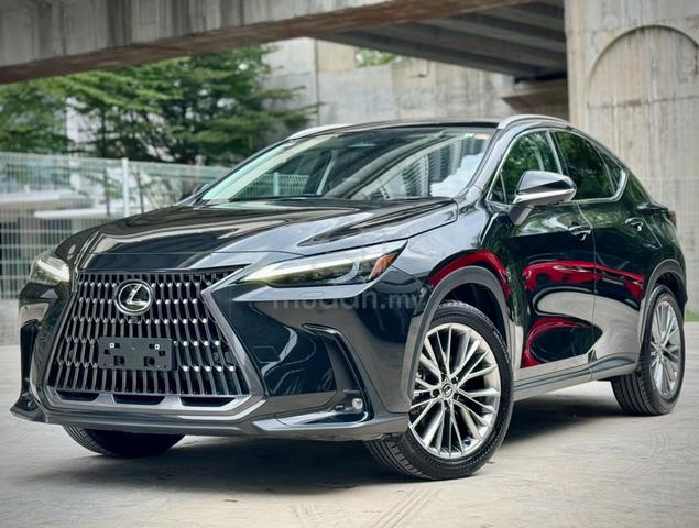 2023 Lexus NX 250 2.5 VERSION L BLACK INTERIOR HUD - 1