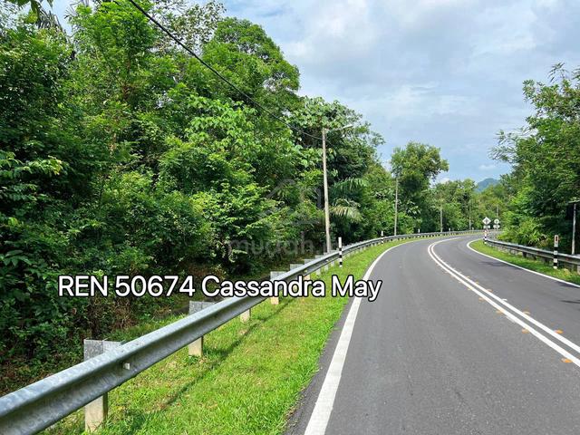 Freehold Main Road Frontage Old Rubber Trees Agriculture Land Tampin 1