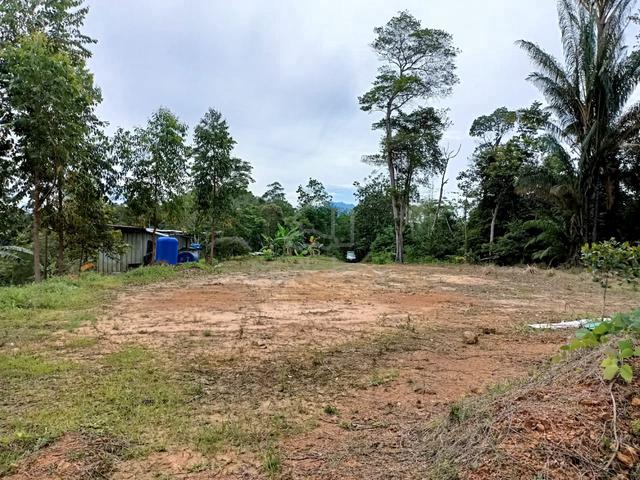 Kota Kinabalu Agricultural Land 27 acres 1