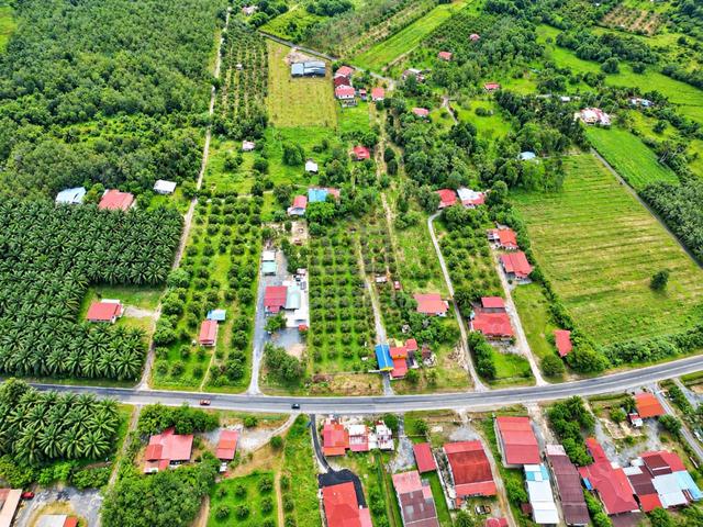 Perlis Chuping Kampung Kubang Perun Tanah Untuk Jual, 1