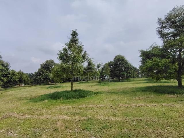 [FREEHOLD] Jasin Merlimau Melaka Agriculture Land With Durian Farm 3
