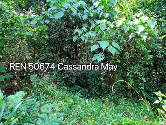 Freehold Main Road Frontage Old Rubber Trees Agriculture Land Tampin 2