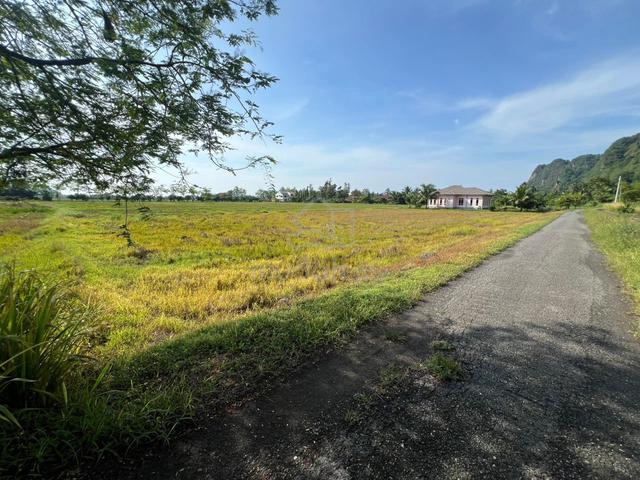 Tanah Bendang Di Wang Besar, Bintong, Perlis 1