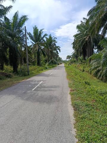 Tanah Berserta Rumah Baru Sungai Panjang, Sabak Bernam untuk DI JUAL 1