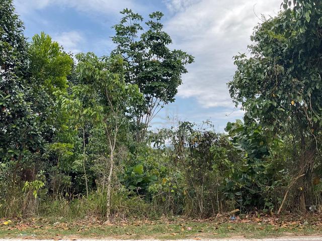 Tanah Pertanian, Sepang, Selangor 2