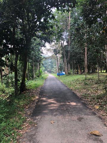 Escape From The City-Tanah 6.1 Ekar di Sg Lui Hulu Langat 1