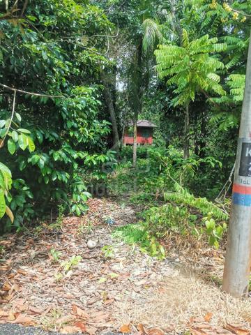 2.5 Ekar Tanah Pokok Buahan Kg Sedeng Segamat Johor 1