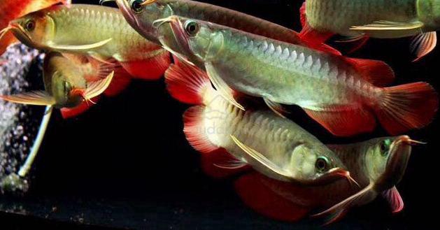 Carousel Image