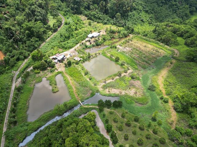 Hidden Gem @ 24th Mile, Super Cheap Hilly Land, Jalan Kuching-Serian. 1