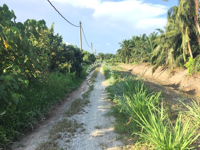Agriculture Land For Sale At Telok Mengkuang,Teluk Panglima Garang,Sel 1