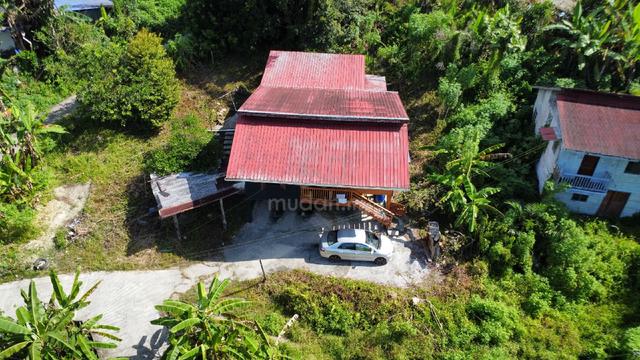 Wood House 2