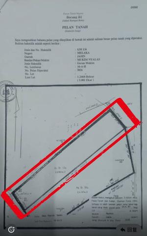 Freehold Roadside Oil Palm Land Asahan Nyalas 1