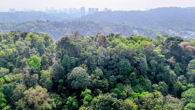 Ridge top land 360 view KL TTDI Damansara 1