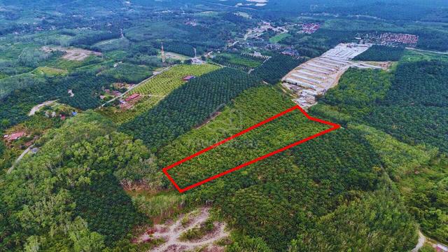 9.9 Ekar Tanah Pertanian Tampin Negeri Sembilan 4