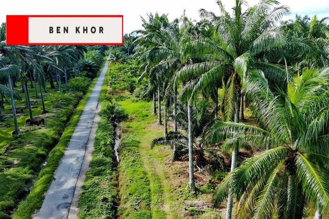 3.83 acres | Agricultural Land | Sungai bakap |Sungai Jawi| PENANG 1