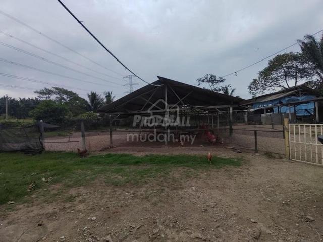 1.1 ekar tanah serta rumah dan kandang ayam di Kg Sri Kendong, Rembau 2