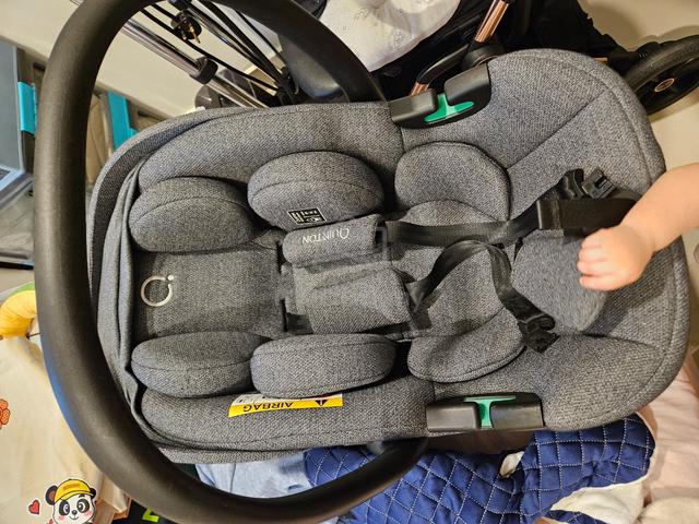Quinton Picco Baby Car Seat/Carrier - photo 2 of 3