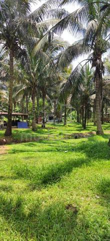 Flat Land to Rent (Negotiable) 1