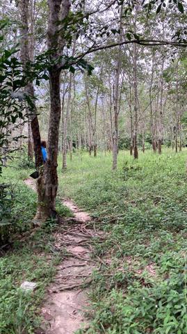 Tanah Kebun Getah Lenggeng Untuk Dijual 1