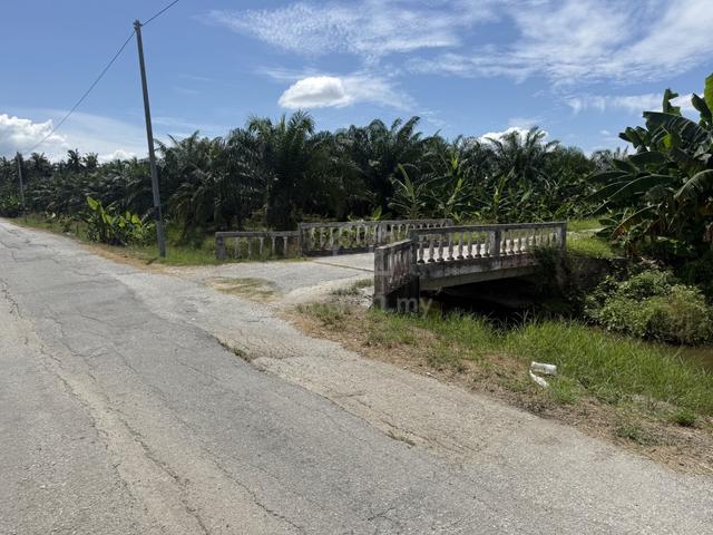 Perak Bagan Datoh Agricultural Freehold Land For Sale 1