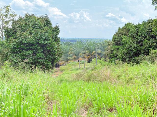 Kluang Jalan Paloh 5.87 acre Industrial Land Can Build Factory 300k/ac 1