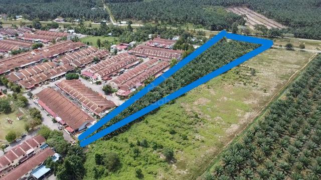 Potential[4.85 Acre] Residental Lot Development @ Mukim Kluang Johor 1