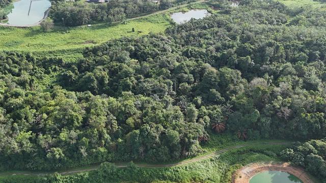 Siniawan Bau Land For Sale 1