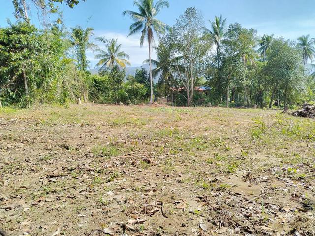 Tanah sendiri di kampung Bakong parit panjang Geran 1 nama 5