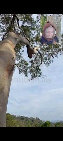 Carousel Image