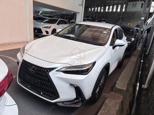 2024 Lexus NX250 2.5 VERSION L 360 PB BSM HUD A - 2