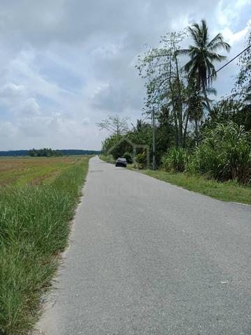 Tanah Bendang di Merbok untuk Dijual! Lokasi Strategik! 1