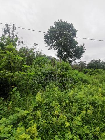 Sungai Boang, Sungai Bakap, Sungai Jawi - Empty Land For Sale 3
