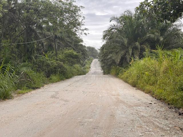 Ulu Tiram 5 Acre Agricultural Land Beside Tar Road Electricity Avail 1