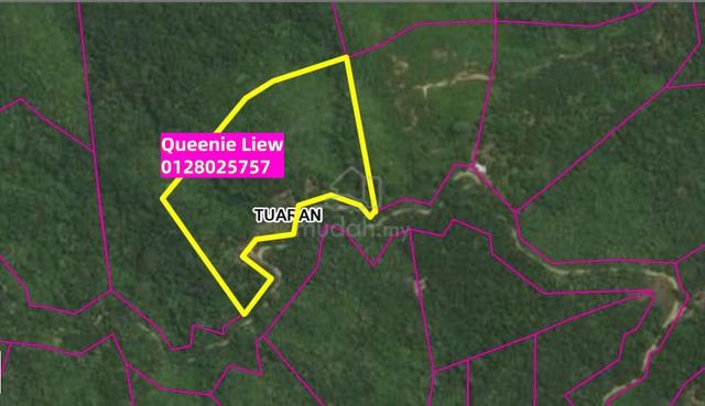 13acre NT Agriculture Hill Land Cum Plantation Kg Togop Tamparuli KK 1