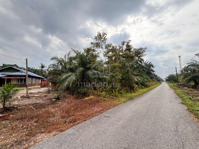 Tanah Pertanian Parit Tasrip Telok Kerang [ 3.23 Ekar / Ada Jiran ] 1