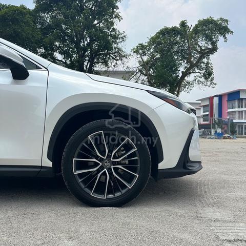 2023 Lexus NX250 2.5 LUXURY MY22 (A) - 3