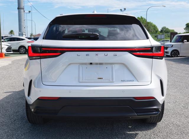 2023 Lexus NX 250 2.5 LUXURY (A) - 4