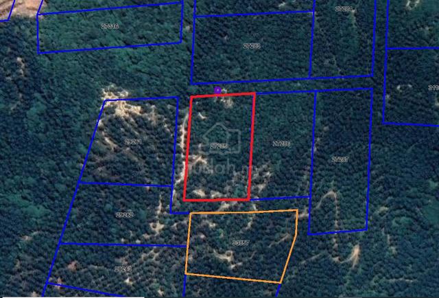 TANAH PERTANIAN 4.2 Ekar di Bukit Jintan, Yong Peng [PALING MURAH] 1