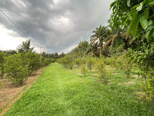 Kampung Sahari, Simpang Renggam 1