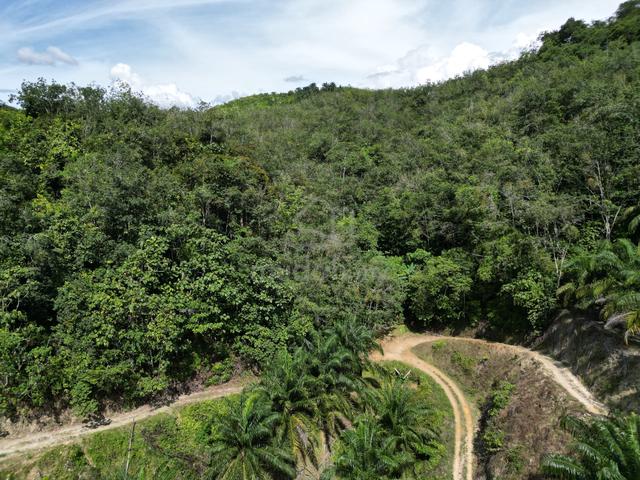 Sungai Siput Agricultural Land Near Kubur Cina ,Free Hold For Sale 1