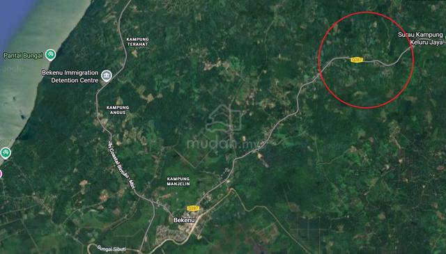 Freehold Agriculture Land Sibuti Bekenu 1