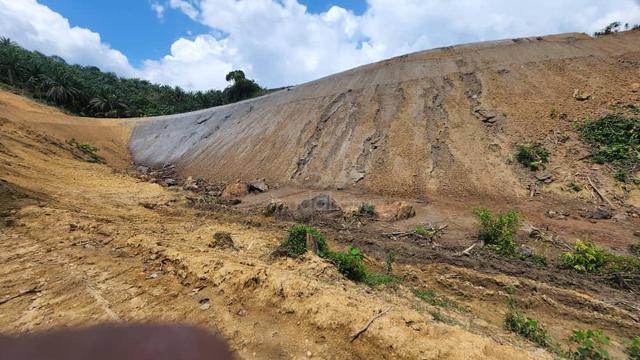 5 Acre Kuala Pilah Agriculture Land Freehold Malay Reserved 5