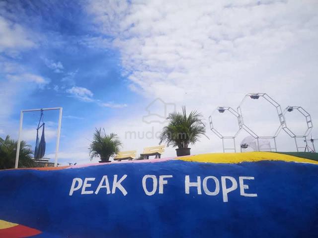 The Peak of Hope For Sale 1