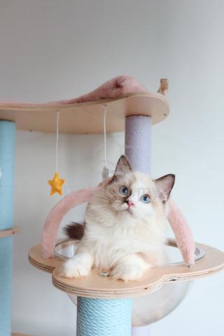 Carousel Image